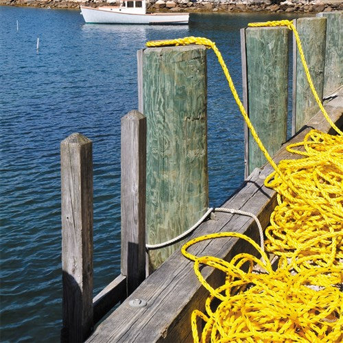 Beaver Polypropylene Film Rope