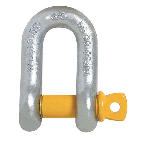 Dee Shackles