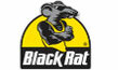 Black Rat