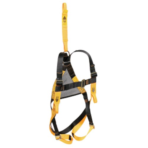 BSafe Harness Complete With Adjustable Shoulder and Leg Straps